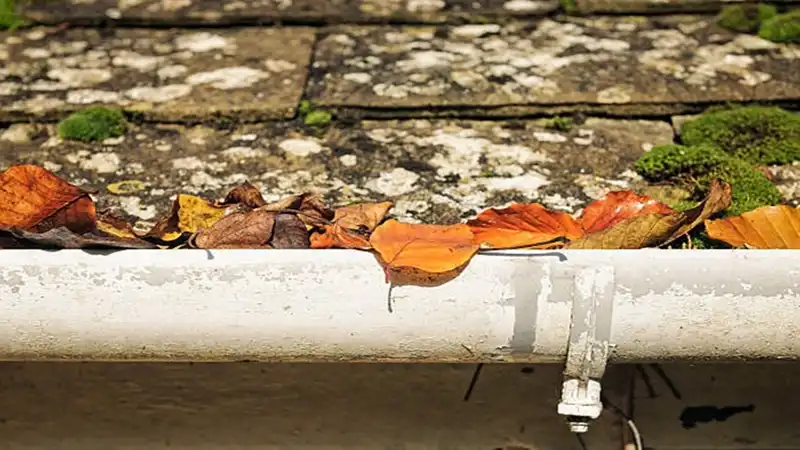 Tuvalet Açma Hizmeti | Hamidiye Gemlik Bursa : 0546 9402175