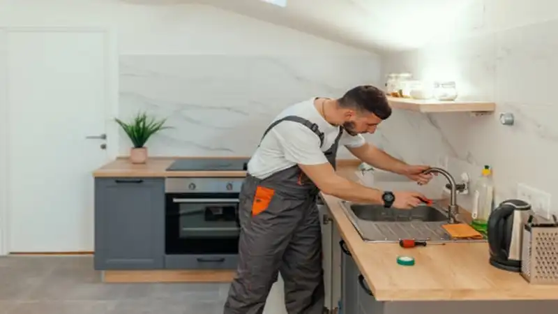 Petek Temizleme Hizmeti | Bağlı Osmangazi Bursa 546 940 2175